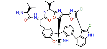 Diazonamide C